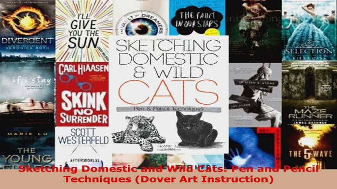 Read  Sketching Domestic and Wild Cats Pen and Pencil Techniques Dover Art Instruction Ebook Free