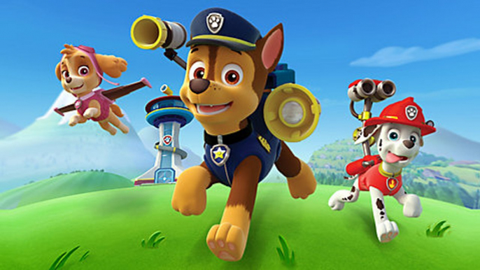 Paw Patrol Hd Full Episodes - Paw Patrol Cartoon Episodes In English_1