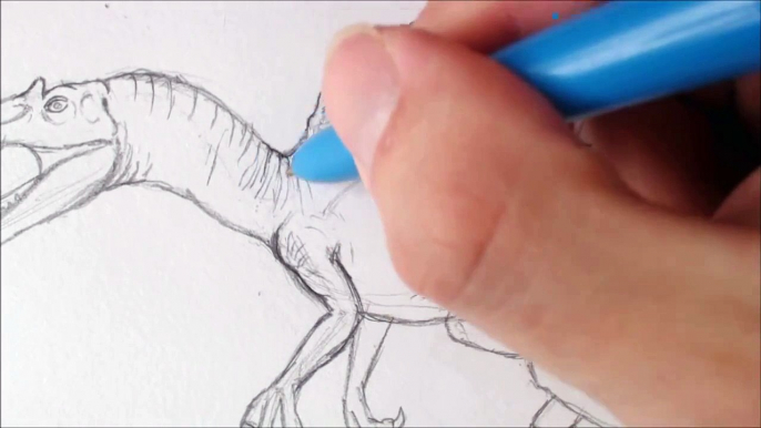 Drawing Spinosaurus Jurassic Park İ Detailing Spinosaurus Skin.