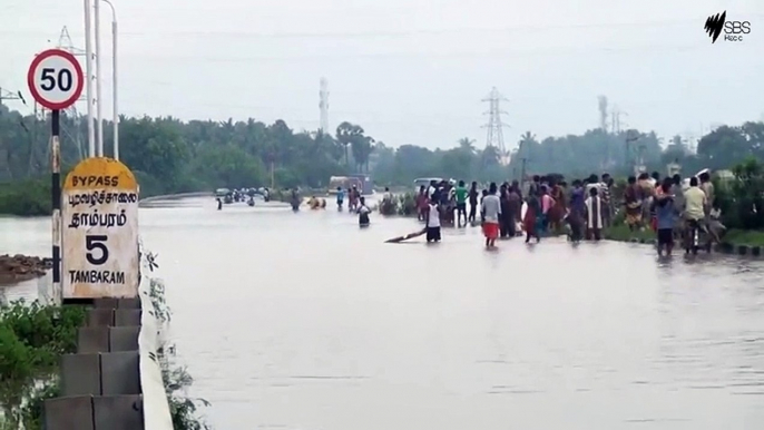 superb bus driver @chennai floods