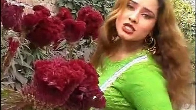 Zulfe Me Shana Shana - Nadia Gul Pashto New Dance Album 2016 HD Part-11