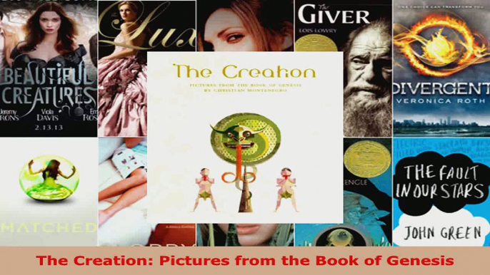 Read  The Creation Pictures from the Book of Genesis PDF Online