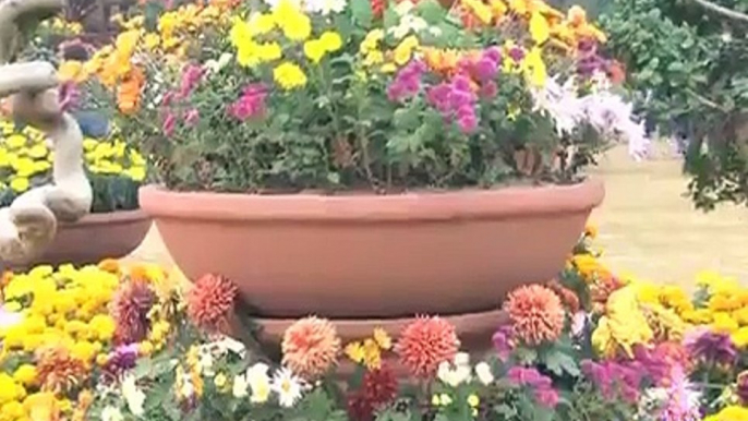 Flower show held in Lahore