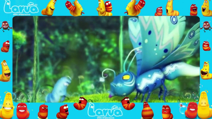 Larva funny cartoon [ Larva New Full Episodes 50 ] larva 2015 | lover lavar