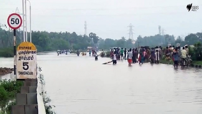 superb bus driver | chennai floods