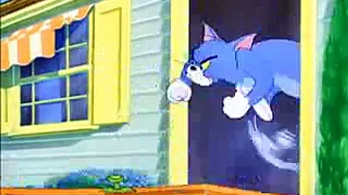 Cartoon Tom and Jerry 2016