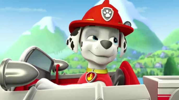 Animation movies Paw Patrol Full Episodes - Paw Patrol 2015 - PAW Patrol Pups Save Diving Bell