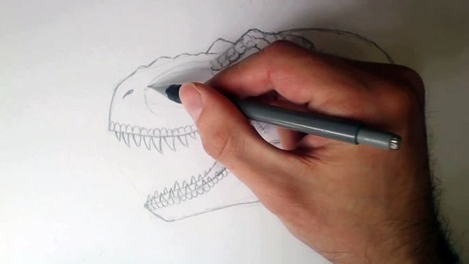 Learn how to Draw a Jurassic Park Trex Head for intermediates. Tutorial Part 2