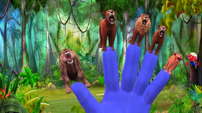 Animals Cartoons Finger Family Children Nursery Rhymes | Animals Finger Family Rhymes for