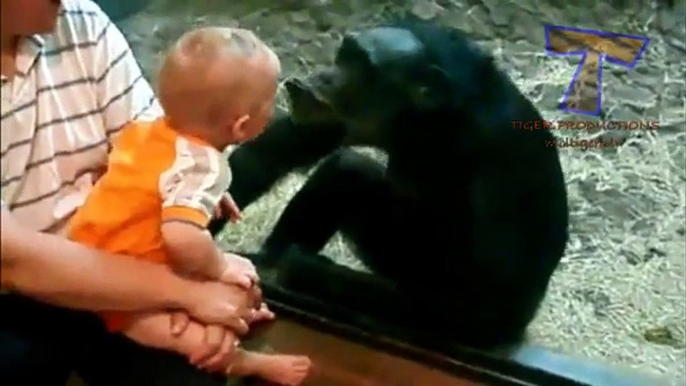 Lovely animals embrassent les enfants - les animaux drôles et enfants (sélection)