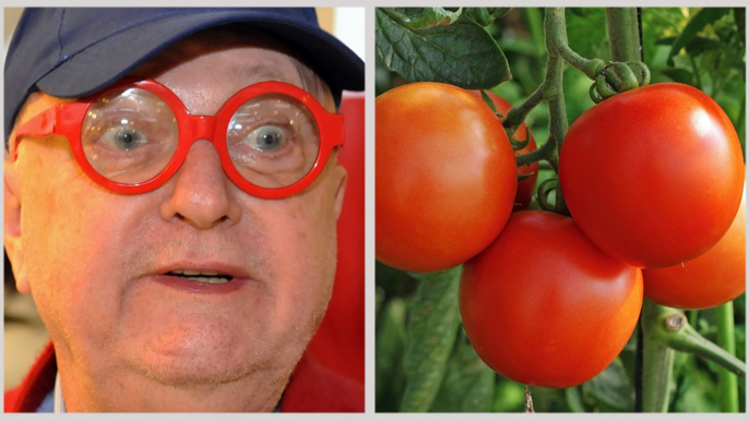 Tomates en hiver : Jean-Pierre Coffe consterné !