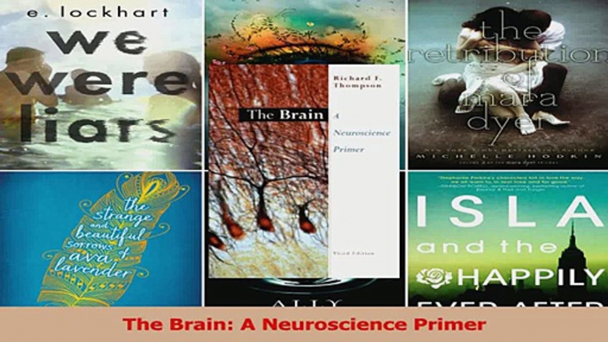 The Brain A Neuroscience Primer PDF