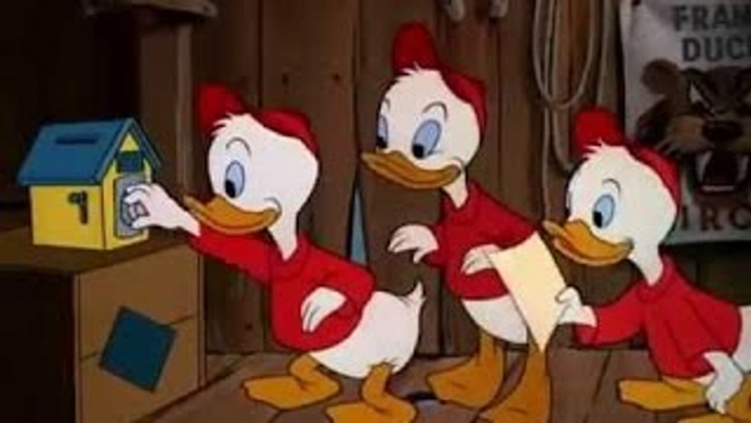 Donald Duck Chip And Dale Goofy Pluto ep2