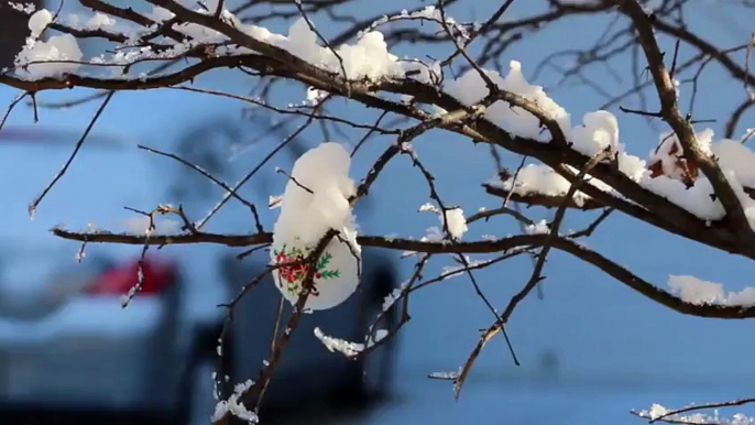 There Will Be A Full Moon On Christmas For The First Time In Decades