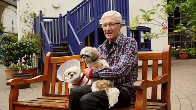 Paul O'Grady For the Love of Dogs S 4 E 8