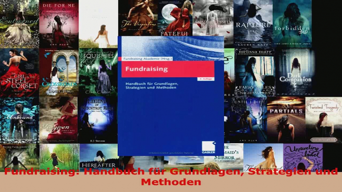 Lesen  Fundraising Handbuch für Grundlagen Strategien und Methoden PDF Online