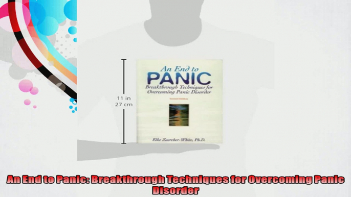 An End to Panic Breakthrough Techniques for Overcoming Panic Disorder