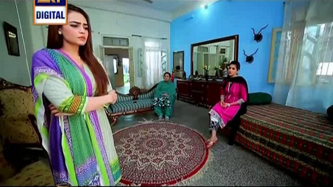 Gudiya Rani Episode 135 on Ary Digital