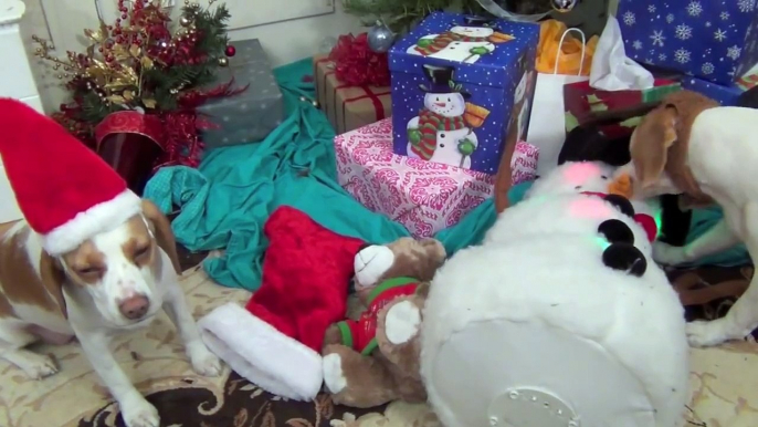 Dogs Ruin Christmas-  Cute Dog Maymo & Puppy Penny