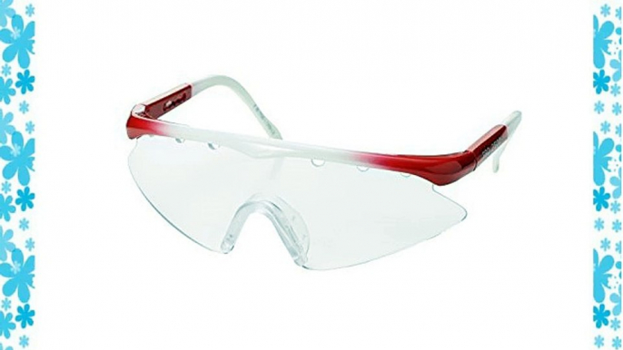 Karakal Pro 2500 Squash Goggles