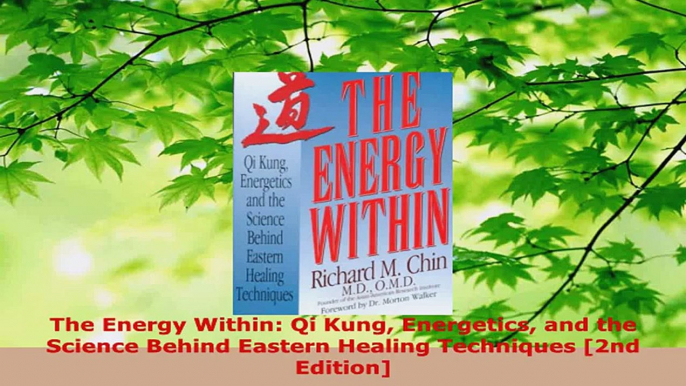 Read  The Energy Within Qi Kung Energetics and the Science Behind Eastern Healing Techniques Ebook Free