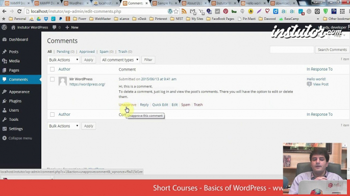 13 - WordPress Comments and Feedback