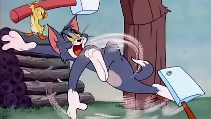 Tom and Jerry - 47 Full Episode - Little Quacker