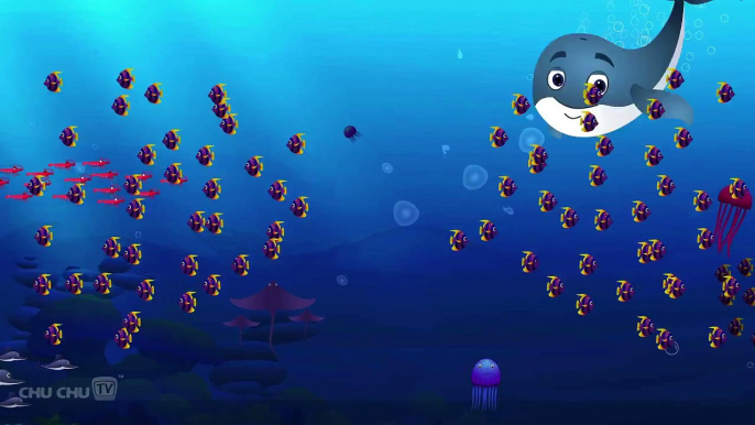 Blue Whale Nursery Rhyme | ChuChuTV Sea World | Animal Songs & Nursery Rhymes For Children