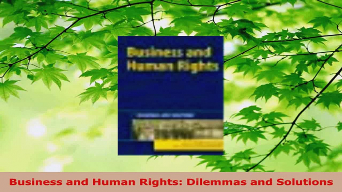 Read  Business and Human Rights Dilemmas and Solutions EBooks Online