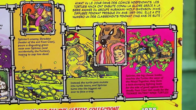 Teenage Mutant Ninja Turtles Classic Vintage Donatello 1988 Toy vs TMNT Donnie Fighting Review