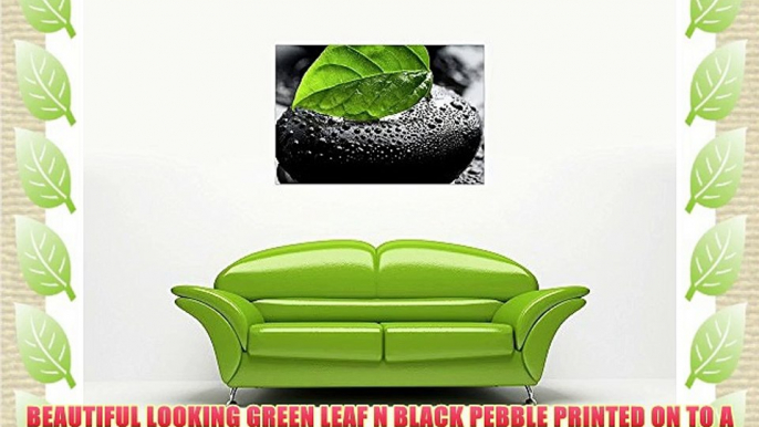 GREEN LEAF ON BLACK PEBBLE ON FRAMED PRINTS CANVAS WALL ART PICTURES FLORAL ART SIZE: 40 X