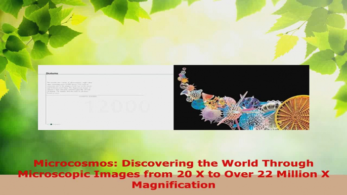 Download  Microcosmos Discovering the World Through Microscopic Images from 20 X to Over 22 Million Ebook Online