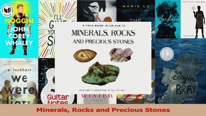 Minerals Rocks and Precious Stones Read Online