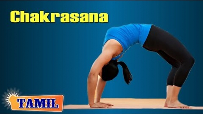 Chakrasana For Stress Relief - Reduces Stress - Treatment, Tips & Cure in Tamil