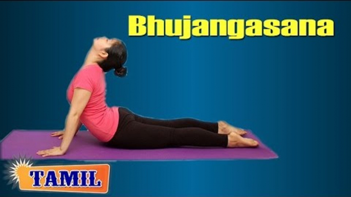 Bhujangasana For Beginners - Back Stretch, Sciatica Pain - Treatment, Tips & Cure in Tamil