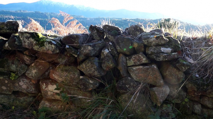 Un mur, les rayons de soleil, et la nature, et...