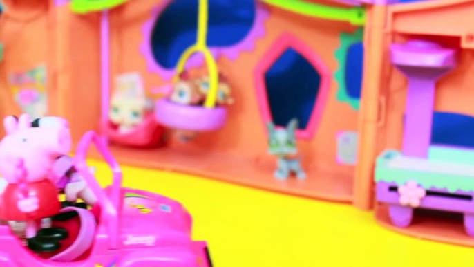 Peppa Pig BROKEN NOSE PLAY-DOH Barbie Jeep Zoe Zebra Littlest Pet Shop LPS Toys AllToyCollector