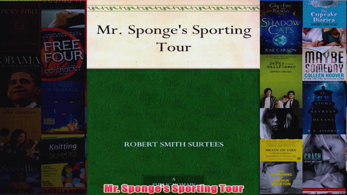 Mr Sponges Sporting Tour