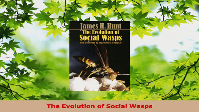 Read  The Evolution of Social Wasps Ebook Free