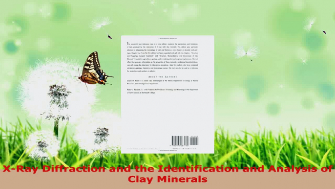 PDF Download  XRay Diffraction and the Identification and Analysis of Clay Minerals Read Full Ebook