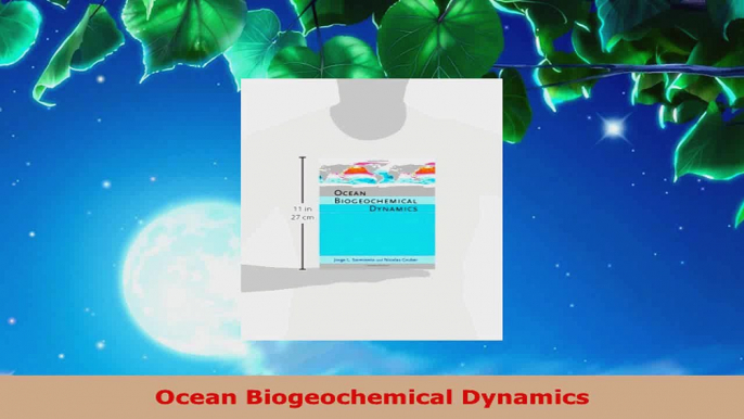 PDF Download  Ocean Biogeochemical Dynamics Read Full Ebook