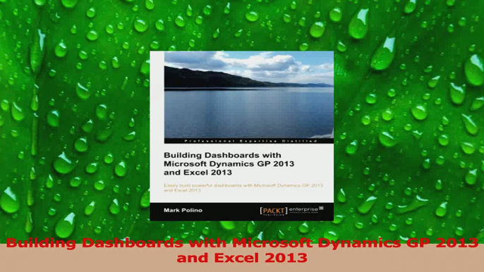 PDF Download  Building Dashboards with Microsoft Dynamics GP 2013 and Excel 2013 Read Online