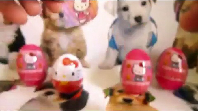 Hello kitty Surprise Eggs Маша и Медведь Kinder Masha i Medved Disney Peppa Pig Masha Toys