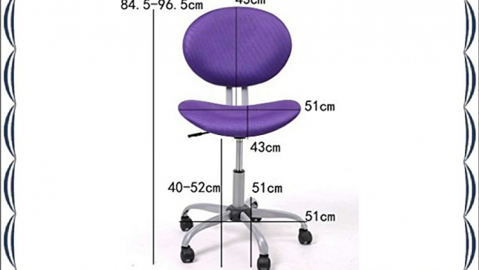 GreenForest? Nylon Backrest with Dual Wheel Carpet Casters Heigth Adjustable Office Chairs