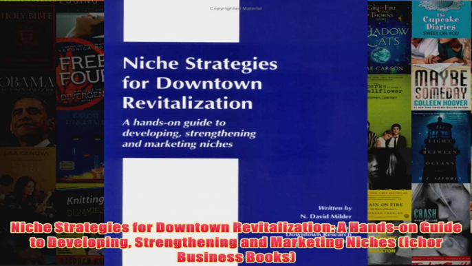 Niche Strategies for Downtown Revitalization A Handson Guide to Developing Strengthening