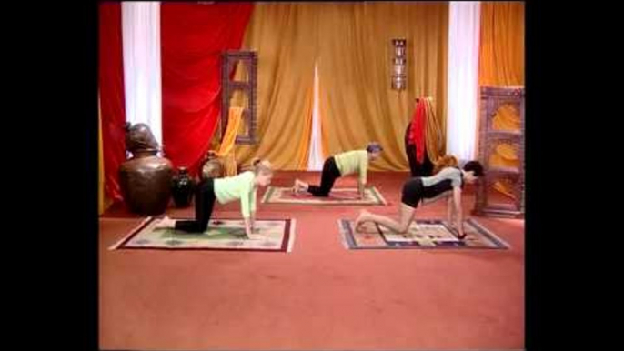 Marzarasana -  Yoga For Back Pain, Exercises, Poses for Health - English