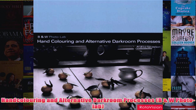 Handcolouring and Alternative Darkroom Processes B  W Photolab