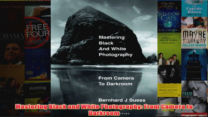 Mastering Black and White Photography From Camera to Darkroom
