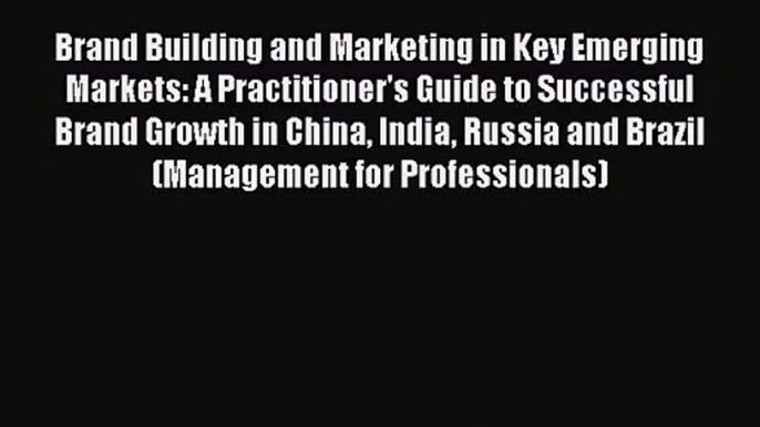 Brand Building and Marketing in Key Emerging Markets: A Practitioner's Guide to Successful