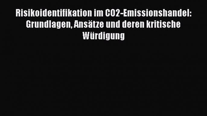 Risikoidentifikation im CO2-Emissionshandel: Grundlagen Ansätze und deren kritische Würdigung